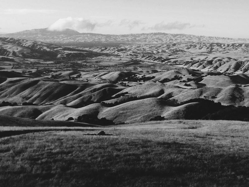 Peak Trail Overlooking Fremont, CA
