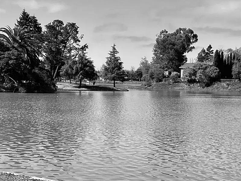 View of Lakeshore Regional Park Lake and Loop in Newark California