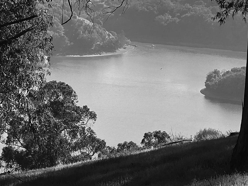 Aerial View of Lake Chabot in Castro Valley, California