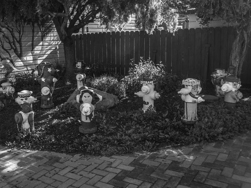 Fire Hydrant Preserve in Brisbane, California Located at 270 Mariposa St