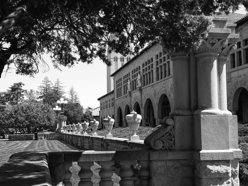 University View Service Area Stanford Weed Delivery